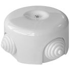 Cajas de distribución de superficie de porcelana blanca (F-Bright 2902030)