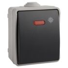 Conmutador/interruptor estanco luminoso de superficie IP54 10A 250V (Solera 3303IL)