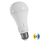 Lámpara estándar Led E27 con botón selección de 5 tonos CCT 13W (Spectrum WOJ+14716)