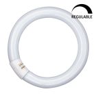 Tubo circular Led regulable T9 G10Q 18,3W 6500K 300mm (Osram 042706)