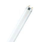 Tubo fluorescente T8 18W 6500K 600mm (Patron 05763)