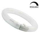 Tubo fluorescente circular regulable T9 Circline Plus 22W 6500K 1150Lm (Sylvania 0001962)