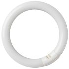 Tubo fluorescente circular T9 Trifósforo económico G10q 40W Ø32x406mm. 6400K (GSC 200800011)