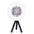 Mmini ventilador solar con luz y trípode 4W 250Lm (Niaros 300040005)