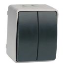 Interruptor/Conmutador doble de superficie gris/negro IP44 (Simon MS535203)