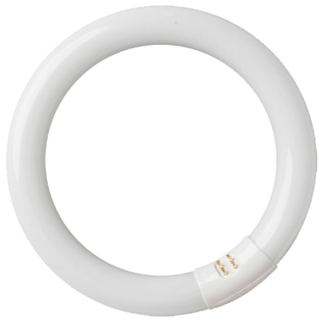Tubo fluorescente circular T9 Trifósforo económico G10q 40W Ø32x406mm. 6400K (GSC 200800011)