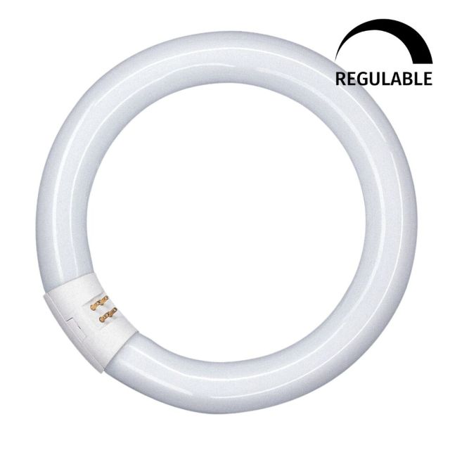 Tubo circular Led regulable T9 G10Q 18,3W 6500K 300mm (Osram 042706)