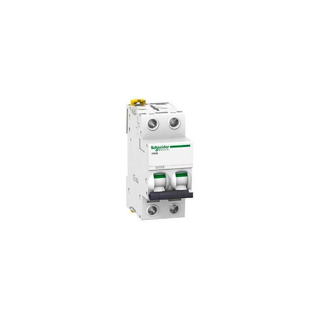 Interruptor automático de control de potencia 2 polos 20A Schneider (MG11913)