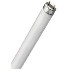 Tubo fluorescente especial insecticida 8W 30cm. (F-Bright 2600499)