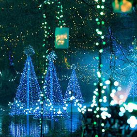 Los 10 mejores espectáculos de iluminación en Navidad